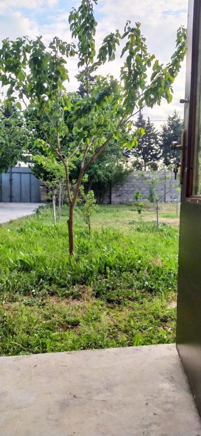 Guest House Near Baku Airport Bakü Dış mekan fotoğraf