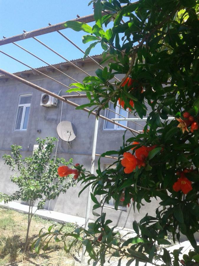 Guest House Near Baku Airport Bakü Dış mekan fotoğraf